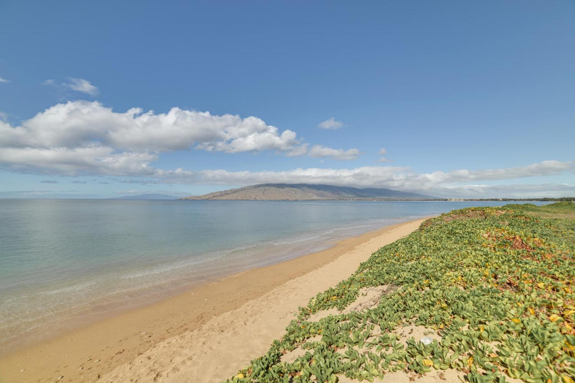 Kihei Haven At Village By The Sea, Steps To Beach! Buitenkant foto